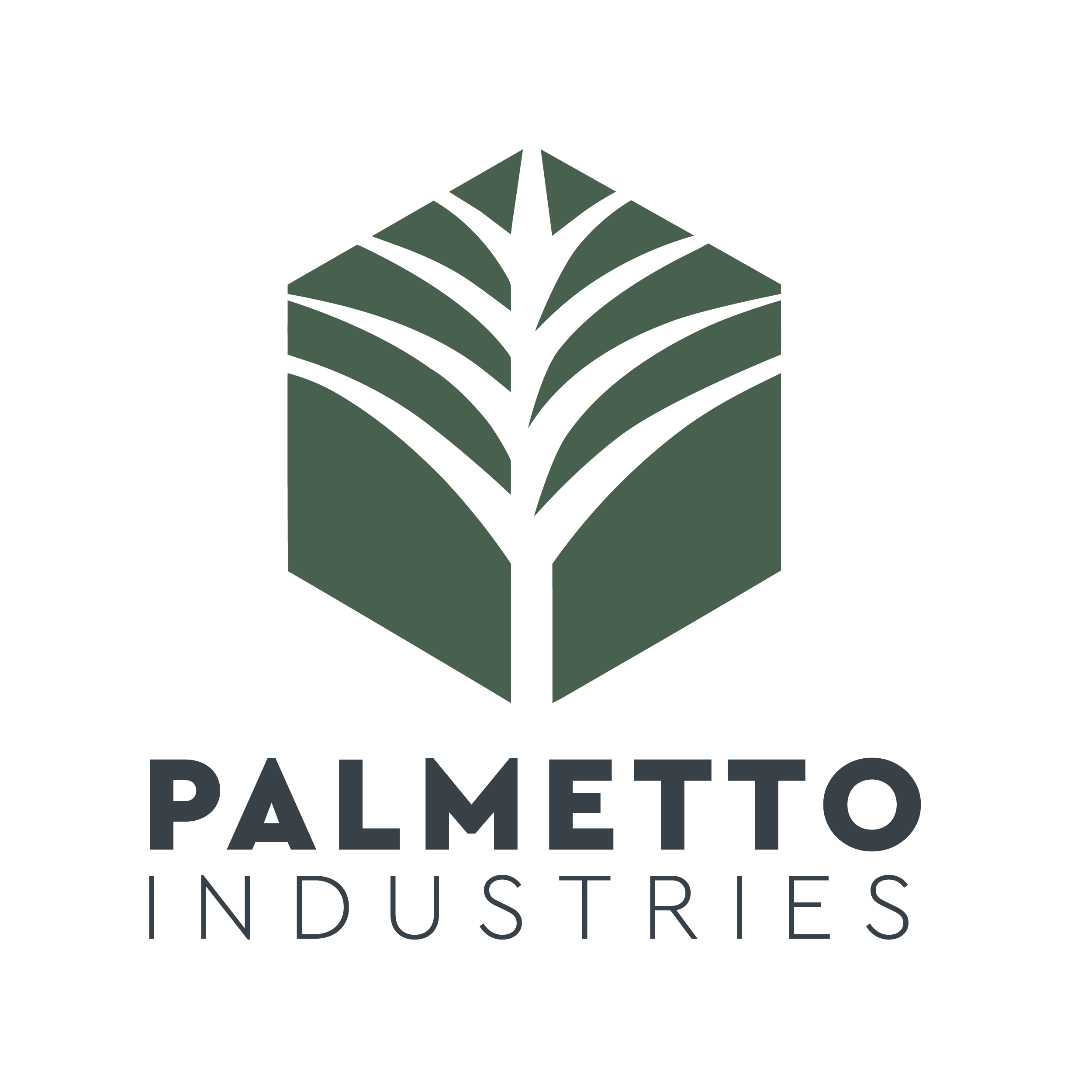 Palmetto